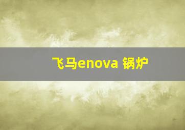 飞马enova 锅炉